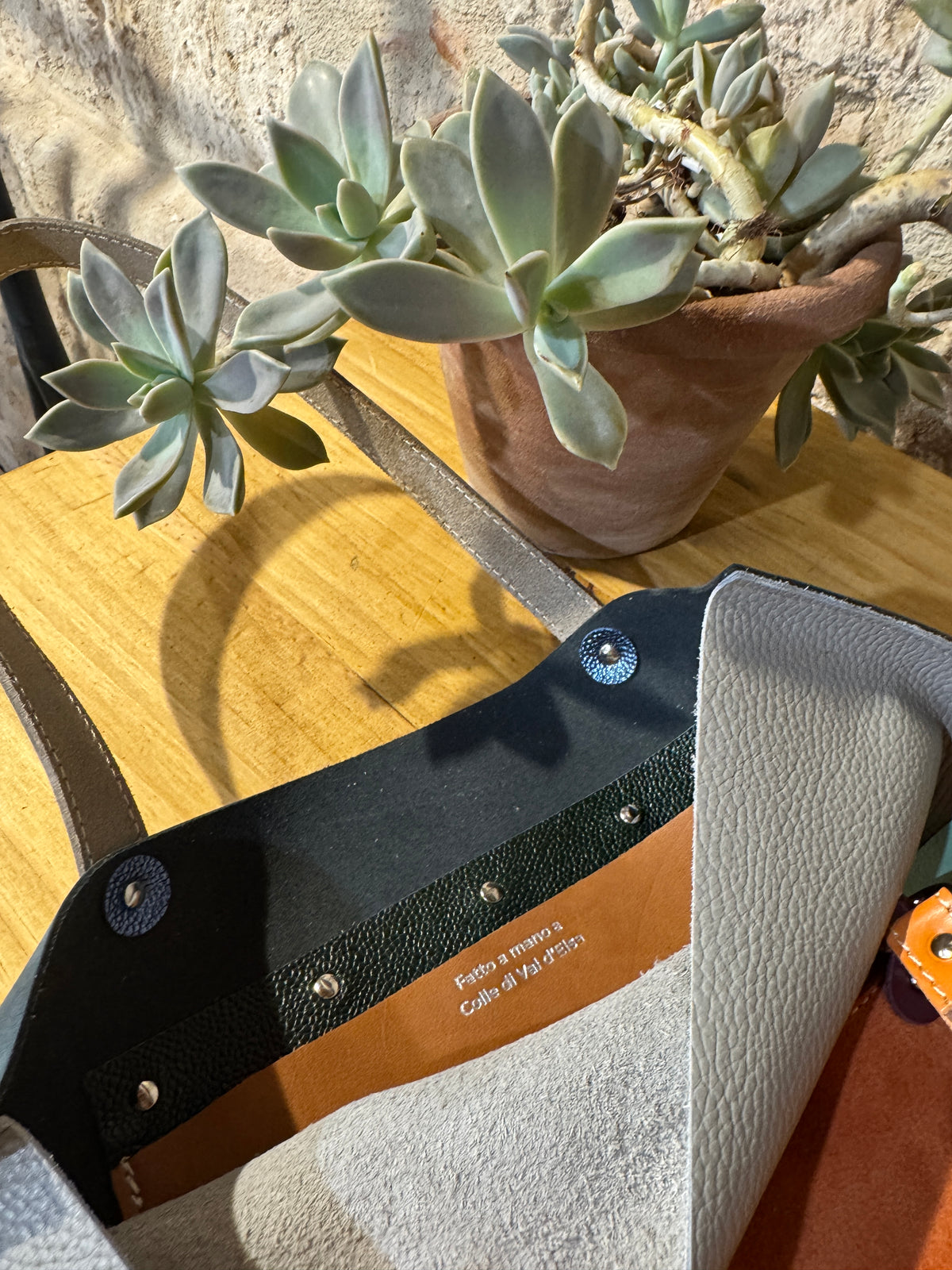LE NUOVE OPUNTIA