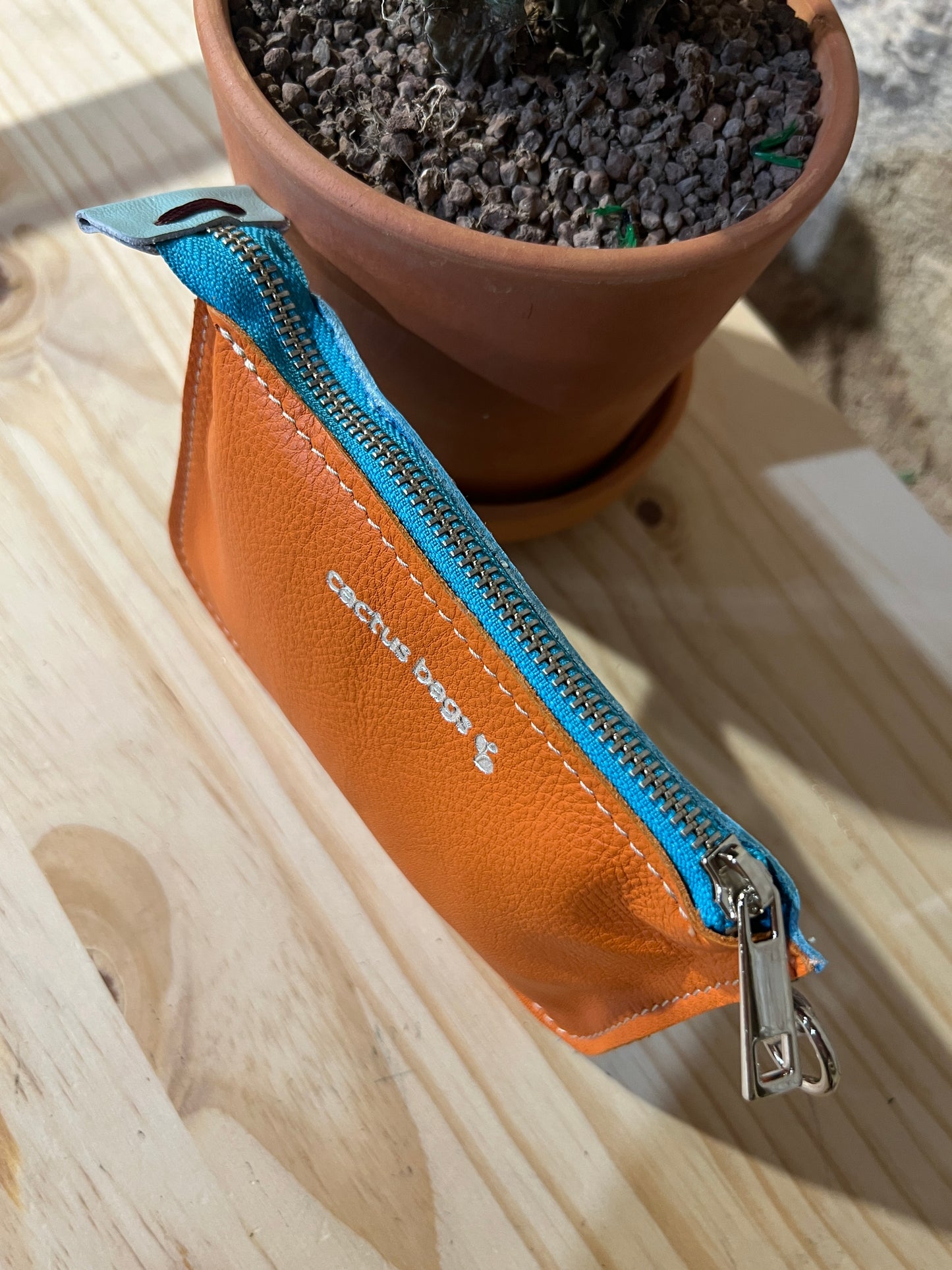 SAGUARINO MINI