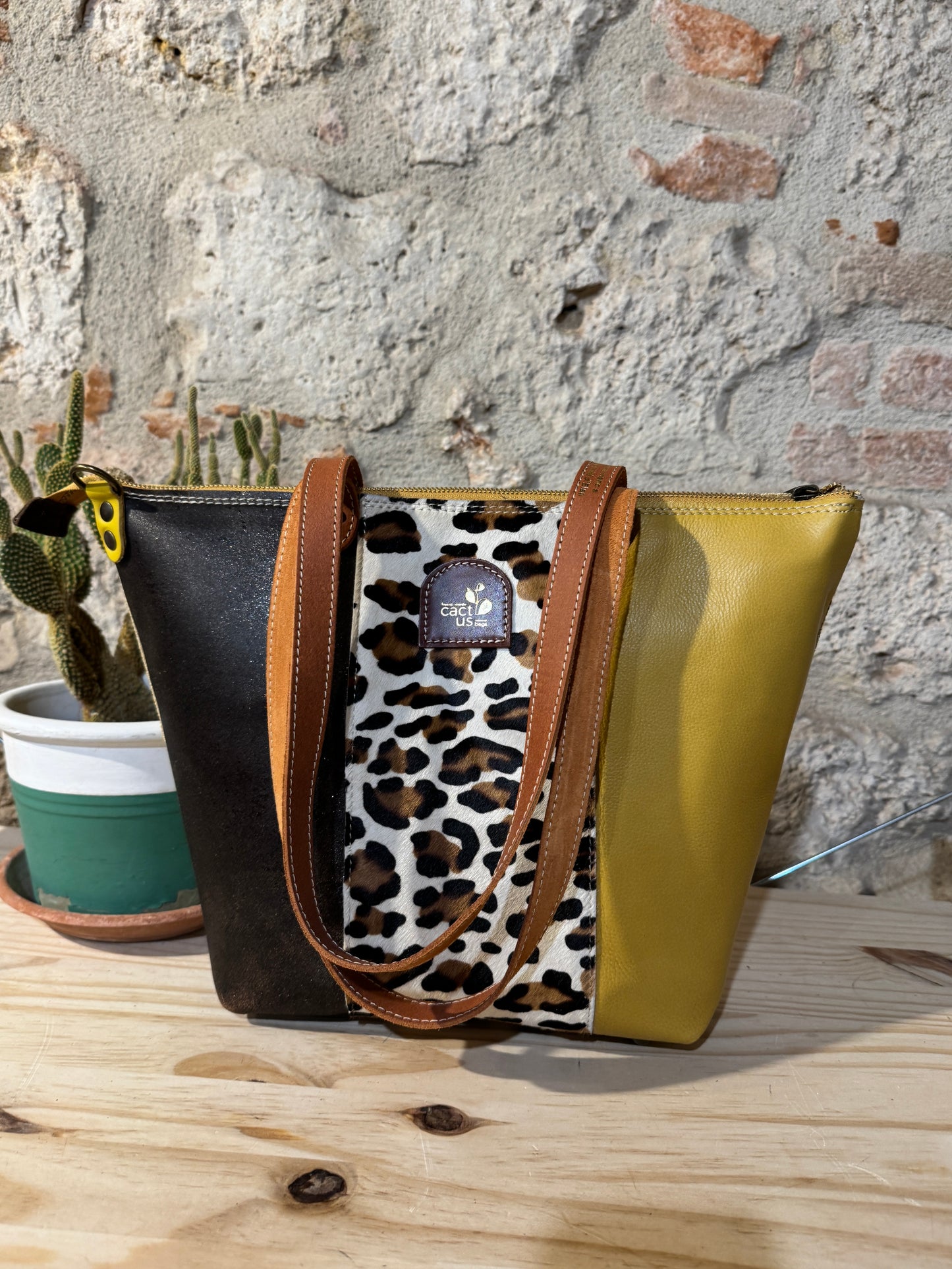 NUOVA LOBIVIA in Cavallino