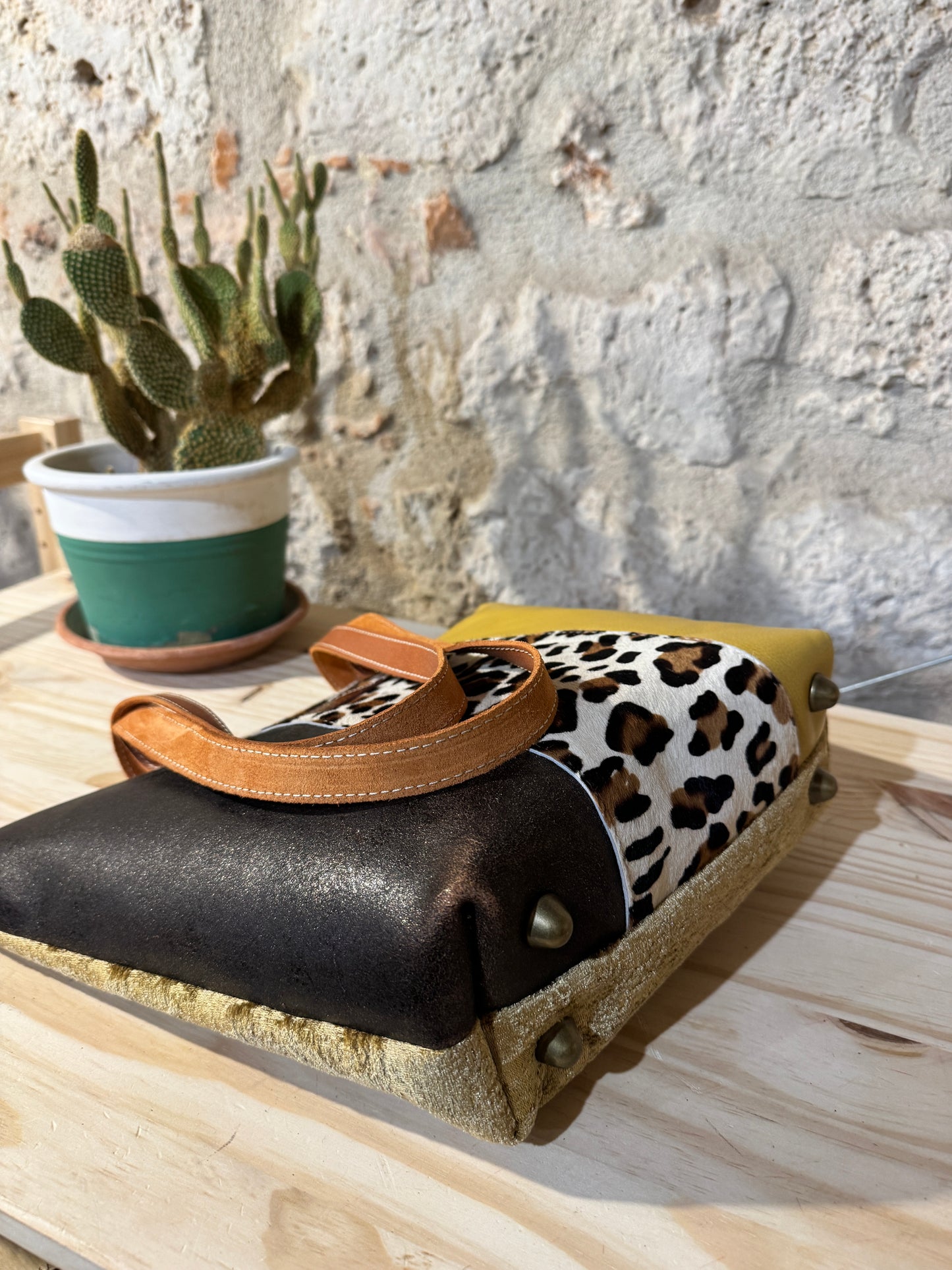 NUOVA LOBIVIA in Cavallino