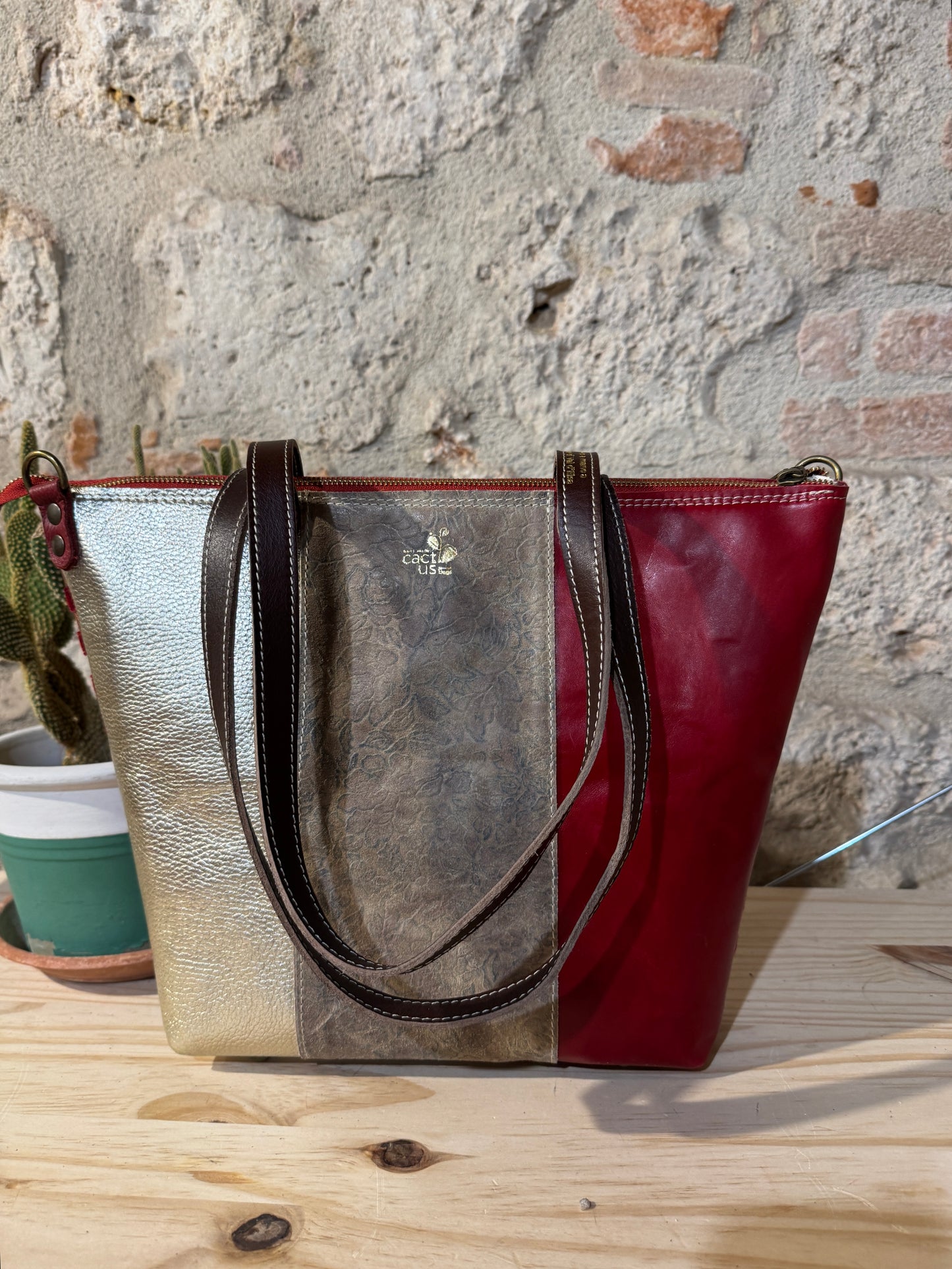 NUOVA LOBIVIA in Cavallino