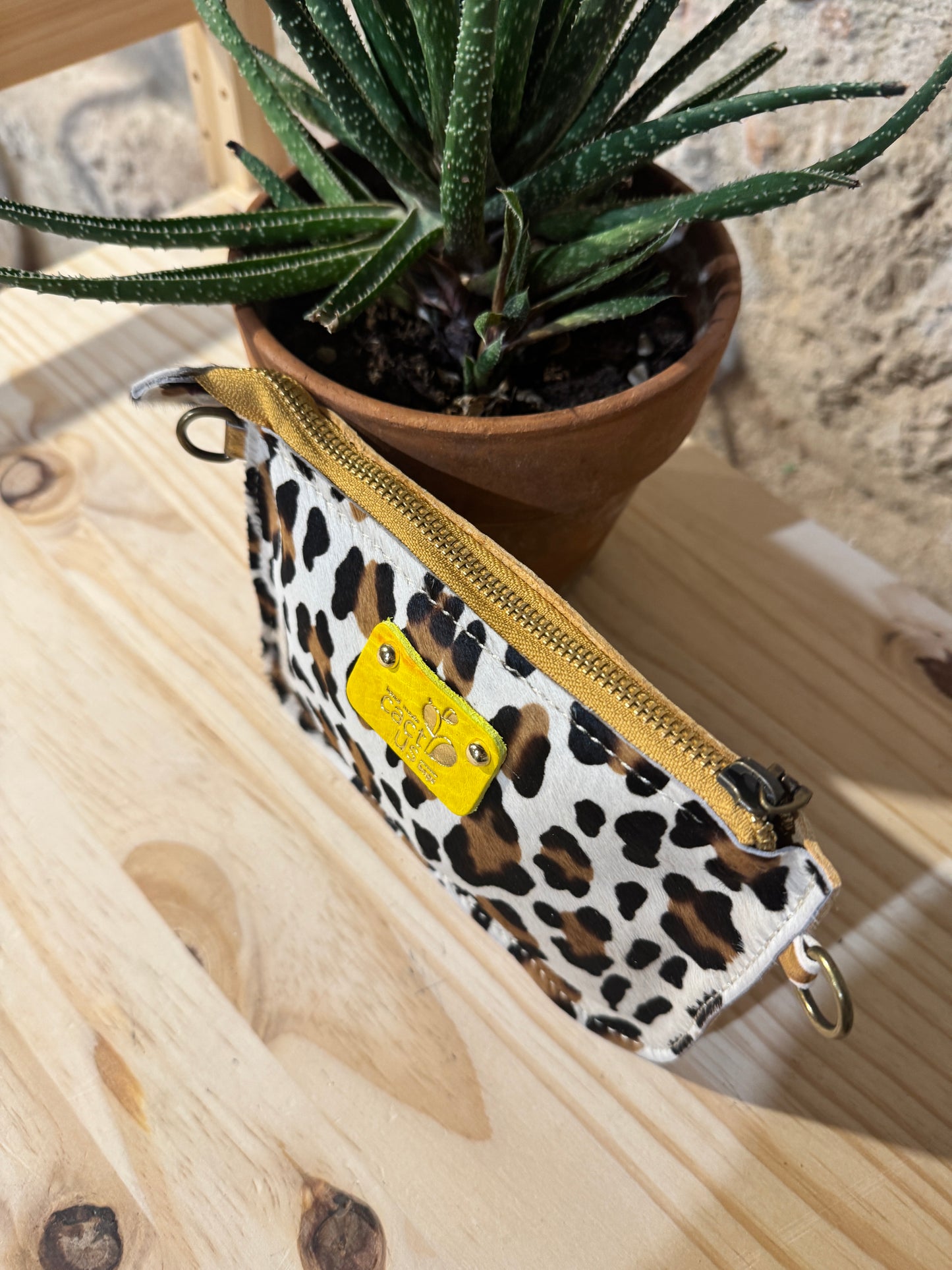 SAGUARINO in Cavallino