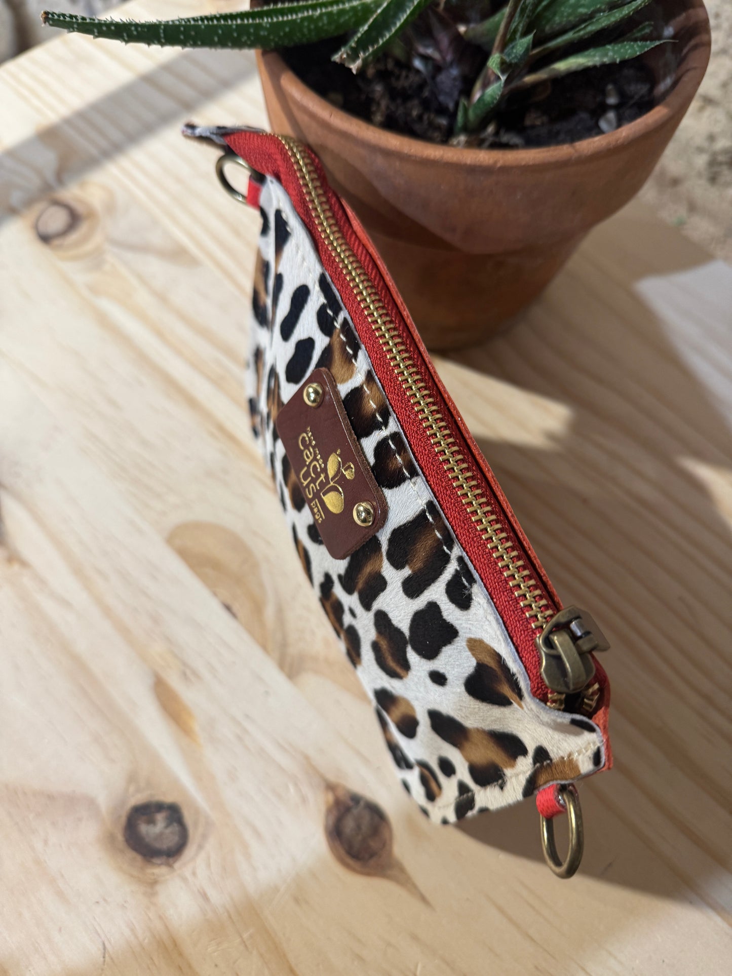 SAGUARINO in Cavallino