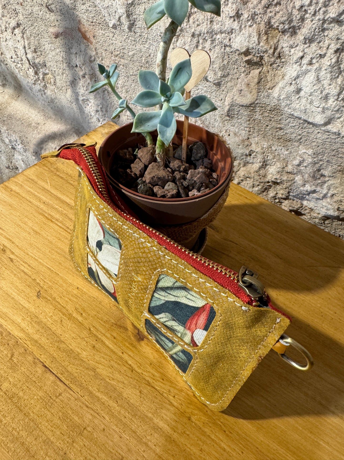 Le Esotiche SAGUARINO MINI