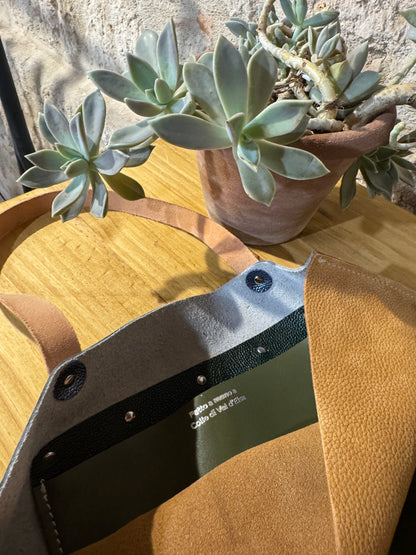 LE  NUOVE OPUNTIA