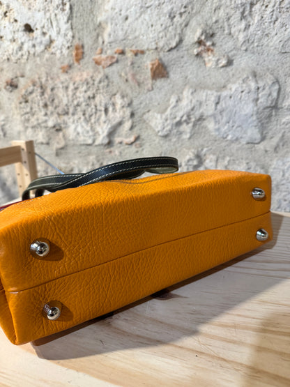 GASTERIA Le Damascate