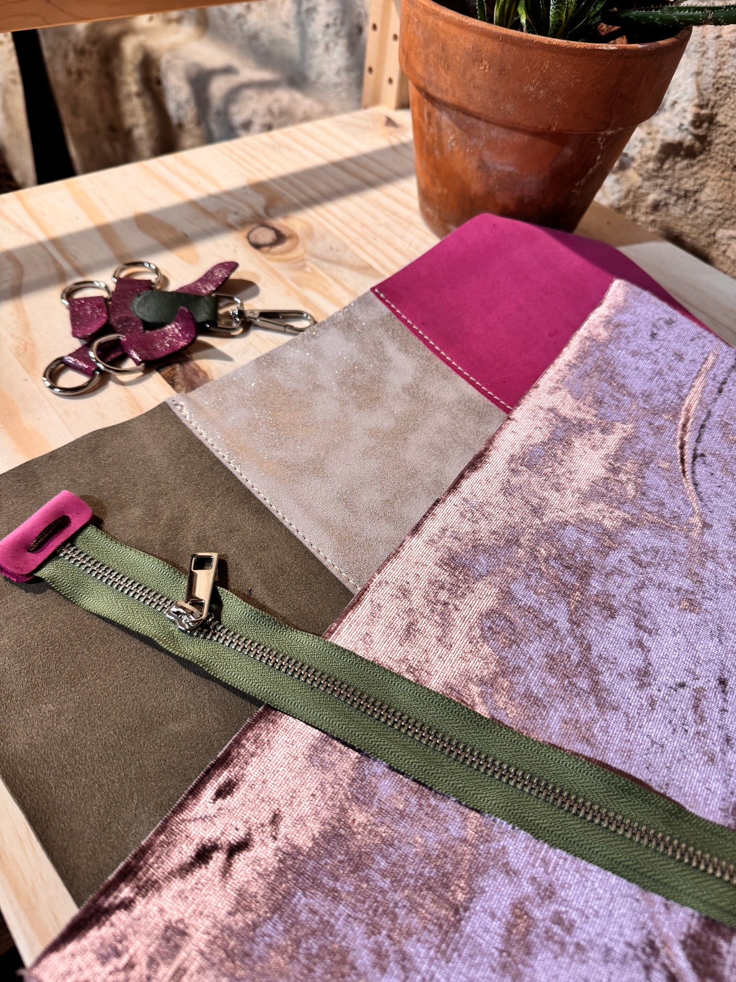 STAPELIA da ordinare...