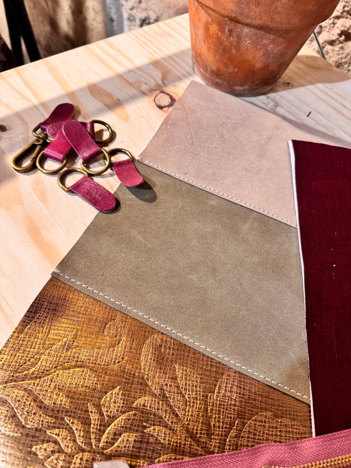 STAPELIA da ordinare...