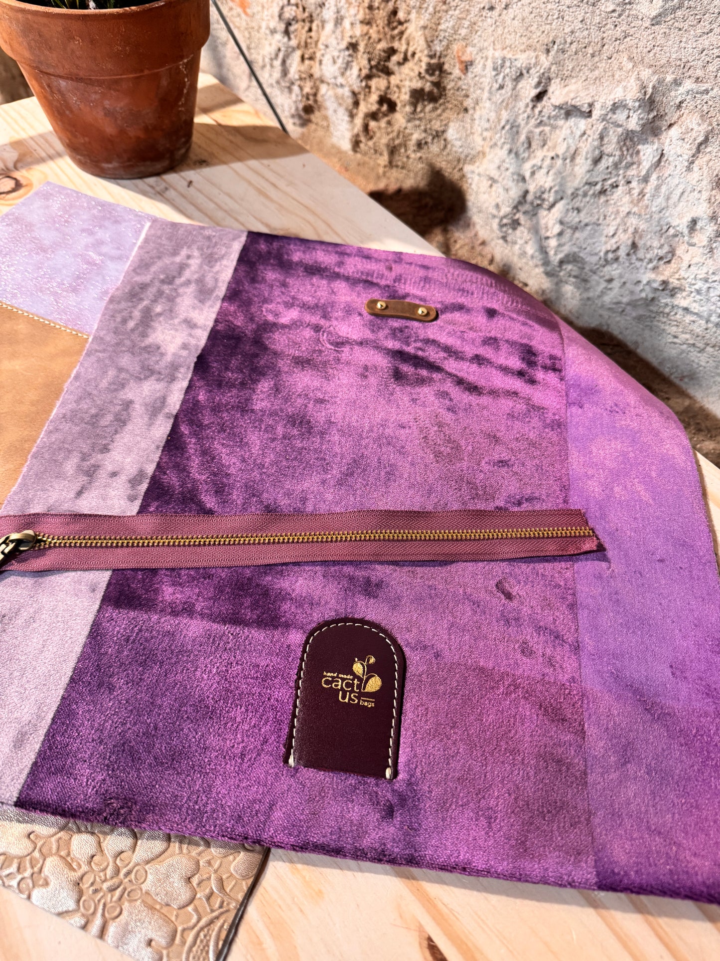 STAPELIA da ordinare...