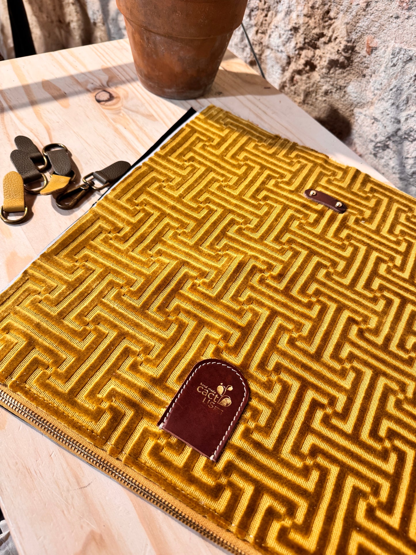 STAPELIA da ordinare...