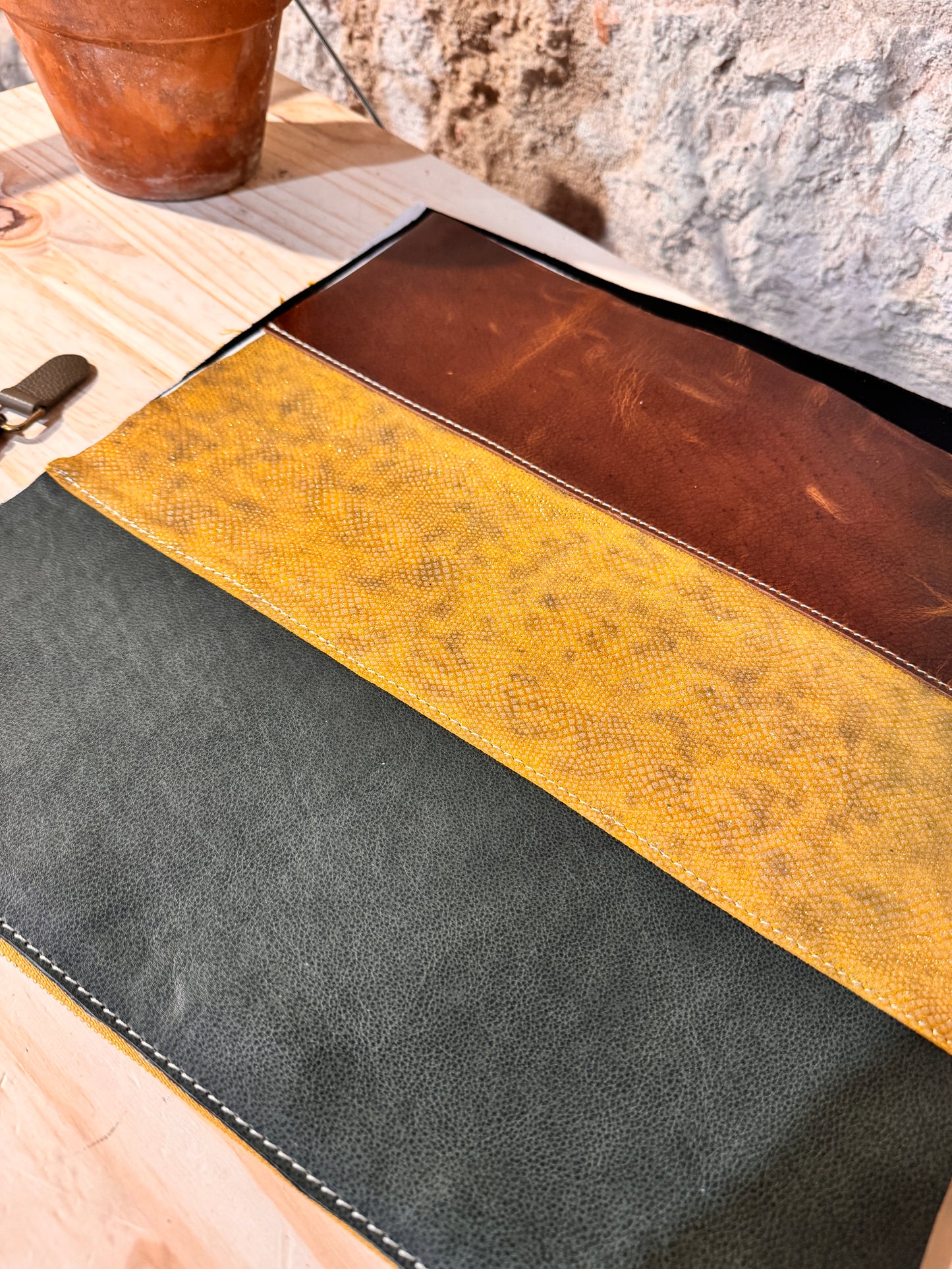 STAPELIA da ordinare...