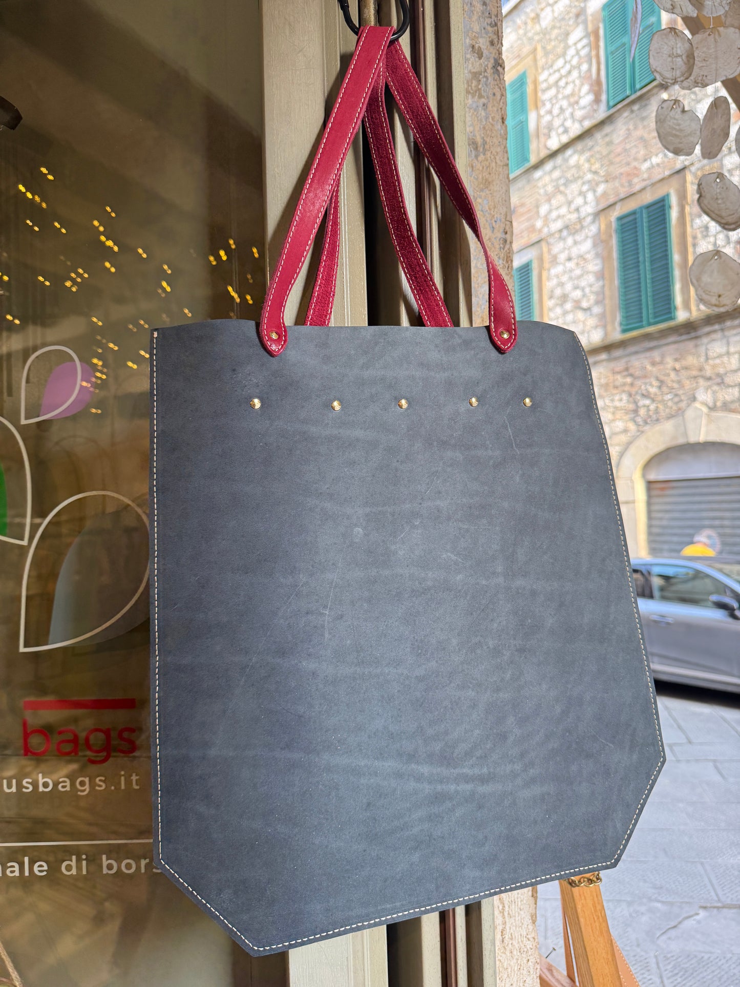 LE  NUOVE OPUNTIA