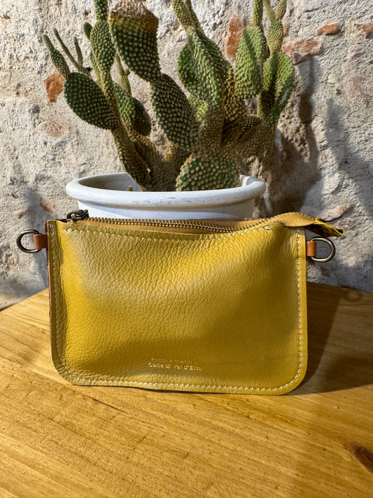 SAGUARINO