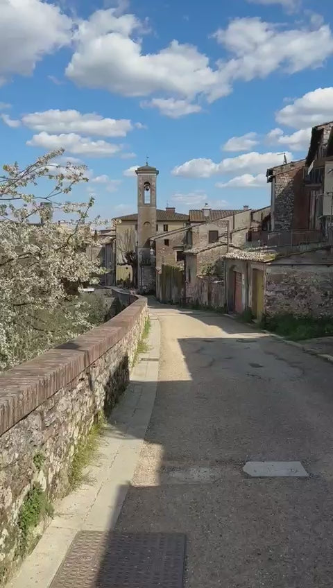 Carica il video: 